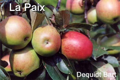 La Paix