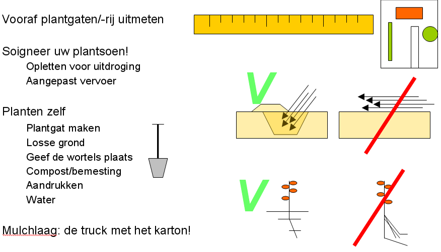 Planttips