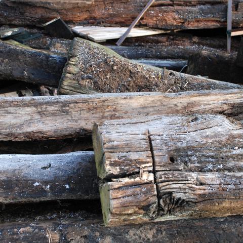 hout