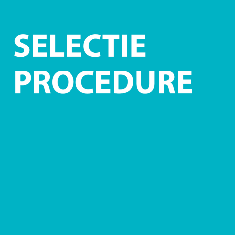 blauwe kader met tekst selectieprocedure