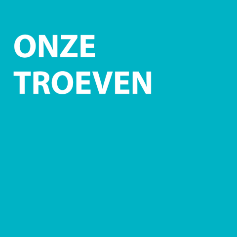 blauwe kader met tekst wat zijn onze troeven
