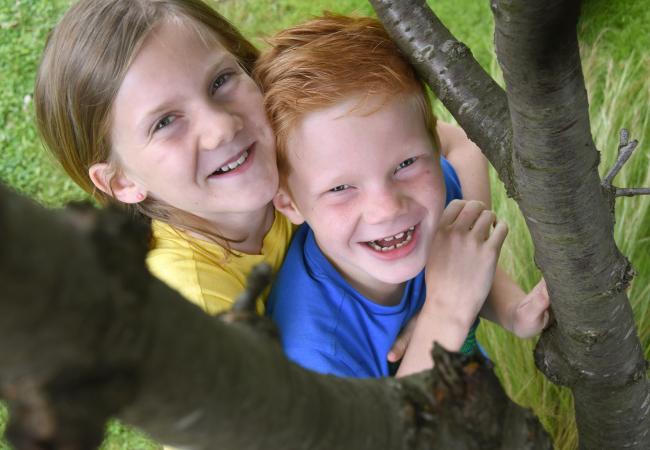 Kies de juiste boom voor jouw tuin!