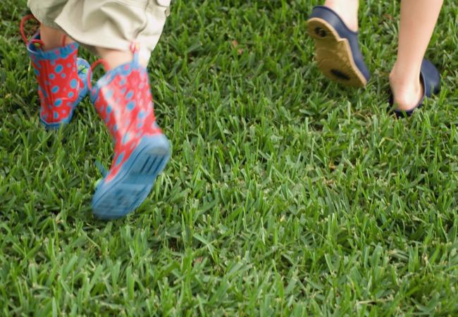 Kinderen lopen in het gras