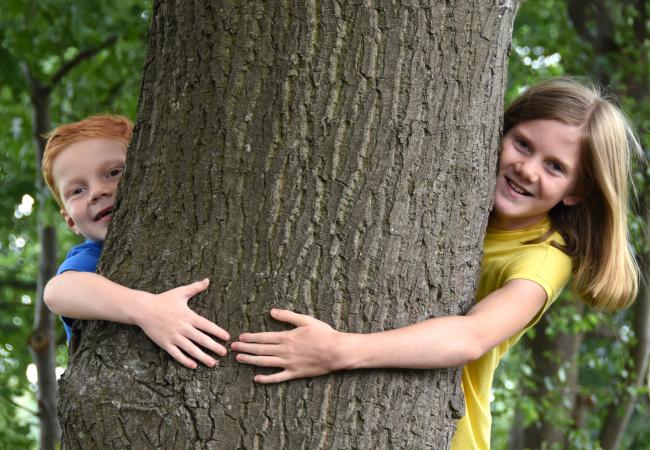 1.001 bomen