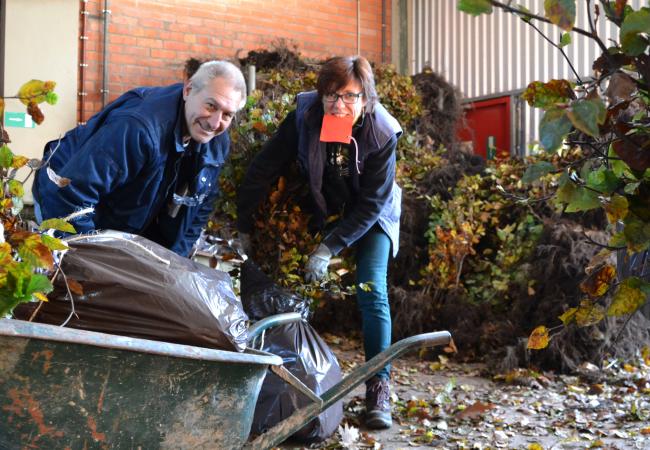 Vrijwilligers sorteren plantgoed